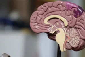 Lesiones Cerebrales Traumáticas